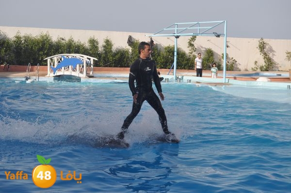 sharmelskhe8634 (24).jpg